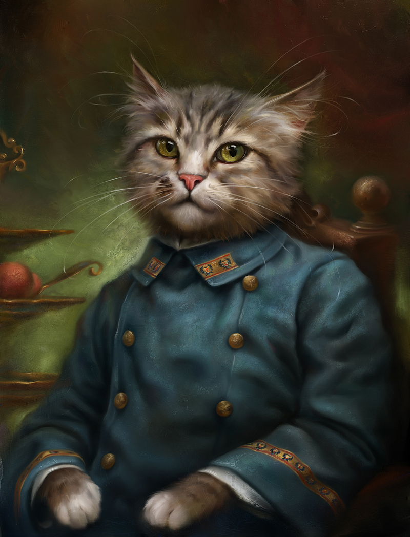 Jeune chat au poil long en manteau bleu-vert à boutons dorés